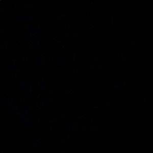 Meet your Posher, Juliana